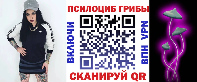Псилоцибиновые грибы MAGIC MUSHROOMS  kraken маркетплейс  Наволоки 